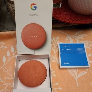 Coral Google Mini